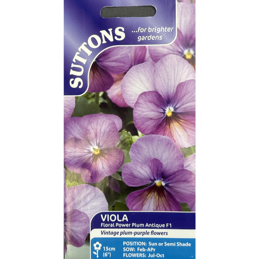 Suttons Seed Viola Floral Power Plum Antique F1 Pkg.