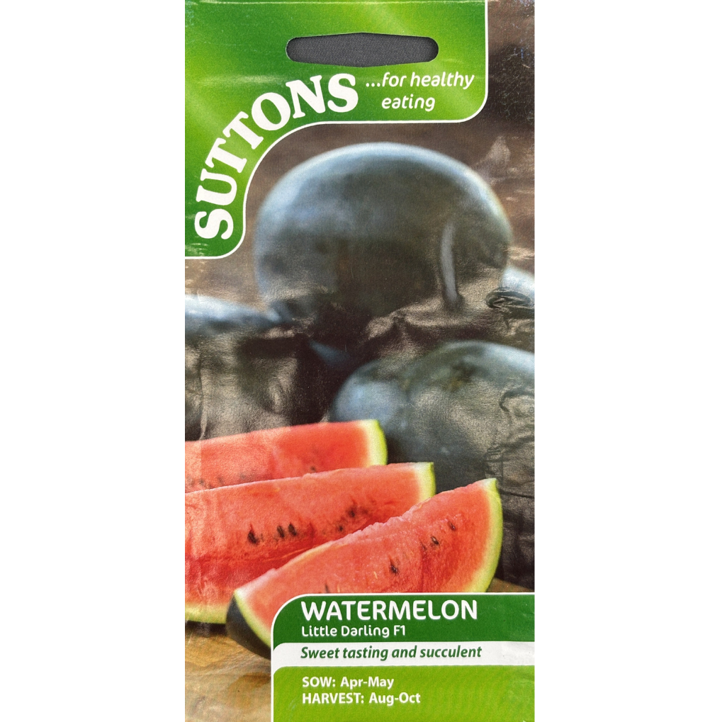 Suttons Seed Watermelon Little Darling F1 Pkg.