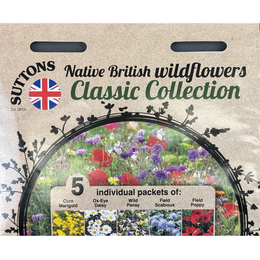 Suttons Seed Native British Wildflower Classic Collection