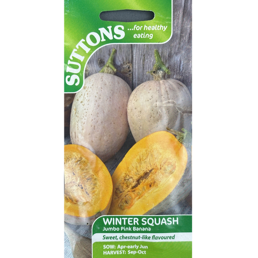 Suttons Seed Squash Pink Banana Jumbo Pkg.