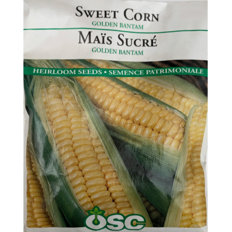 OSC Seeds Corn Sweet Golden Bantam