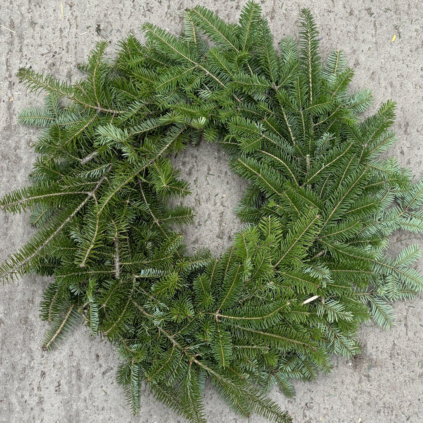 Wreath Fresh Fir DF/SR Fresh (WG)