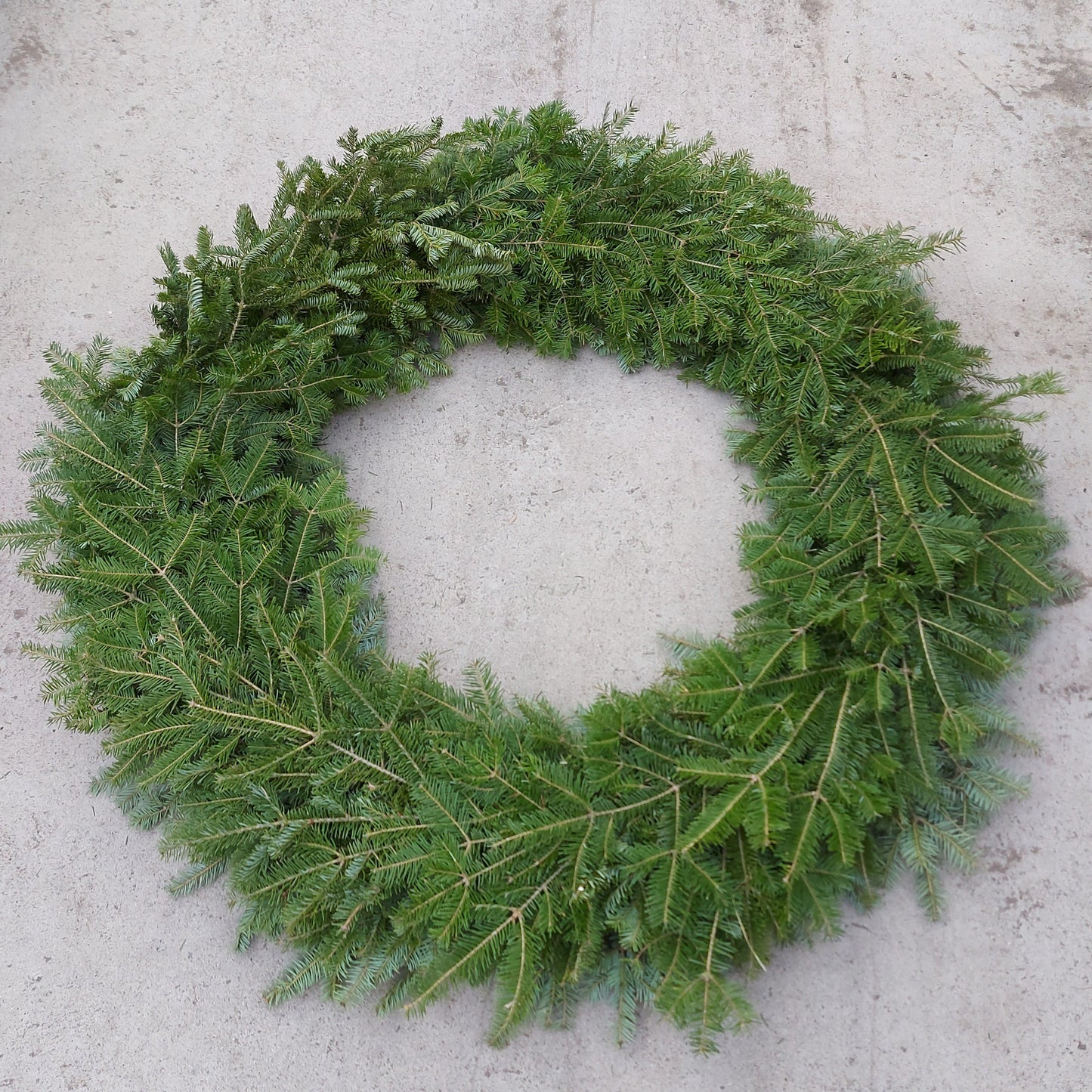 Wreath Fresh Fir DF/SR Fresh (WG)