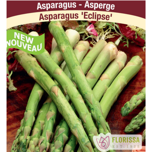 Asparagus Roots 'Eclipse'