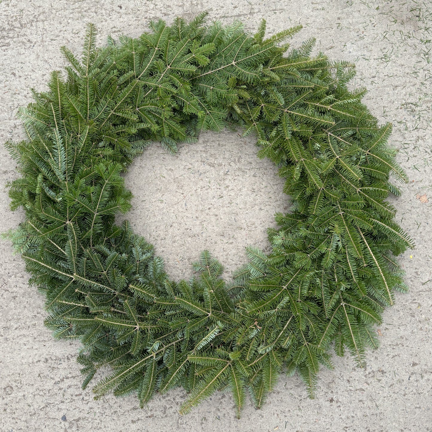 Wreath Fresh Fir DF/SR Fresh (WG)
