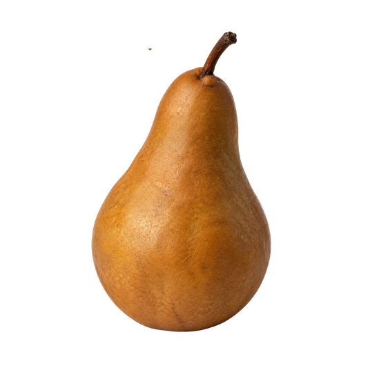 Pear 'Bosc'