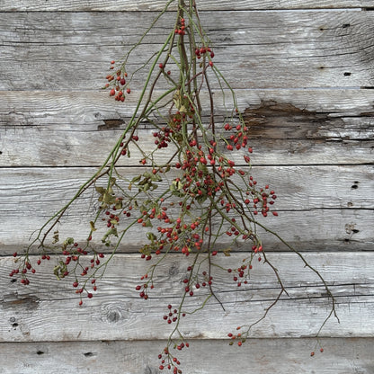 Fresh Rose Hips Bundle
