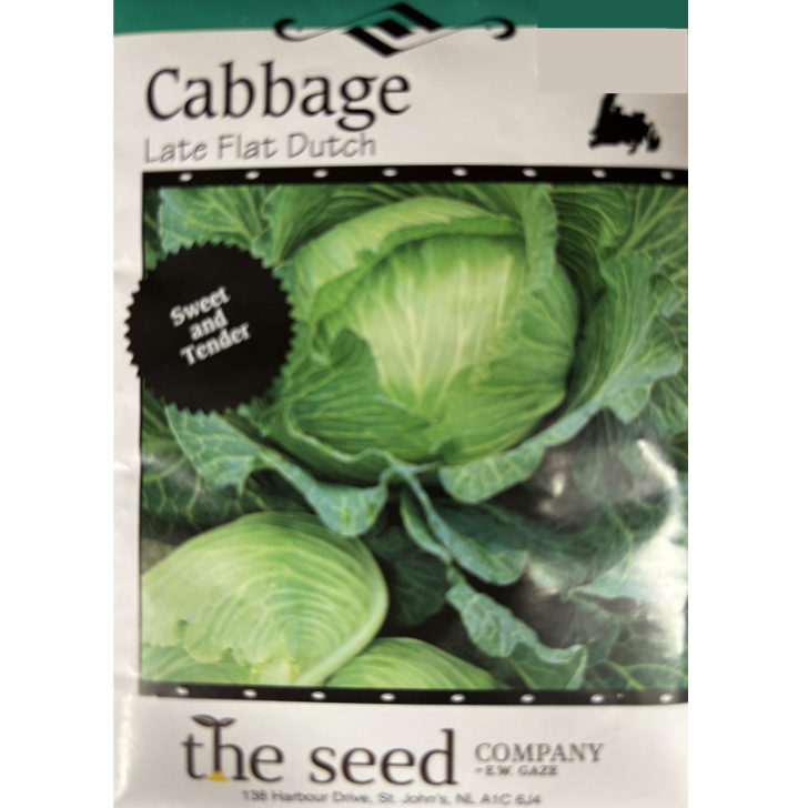The Seed Company Cabbage Flat Dutch Late Pkg.