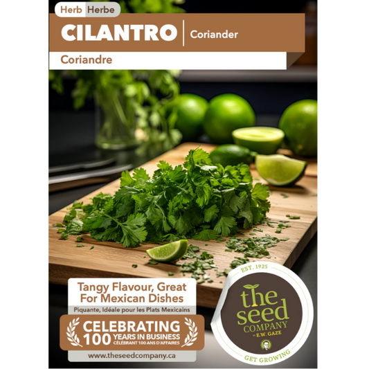 The Seed Company Herb Cilantro/Coriander Pkg.