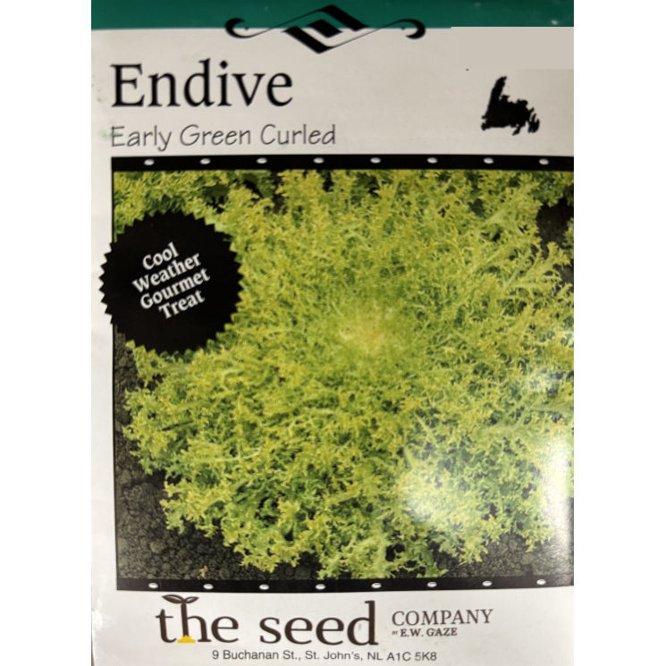 The Seed Company Endive Early Green Curled Pkg.
