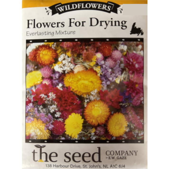 The Seed Company Flowers for Drying Everlasting Mixture Pkg.