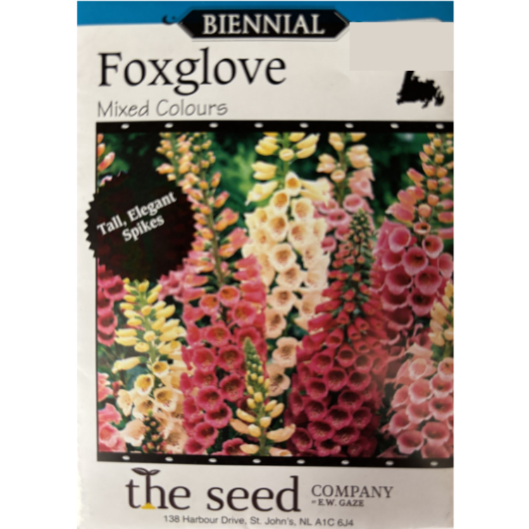 The Seed Company Foxglove Mixed Colours Pkg. – Scott's Nursery Ltd.