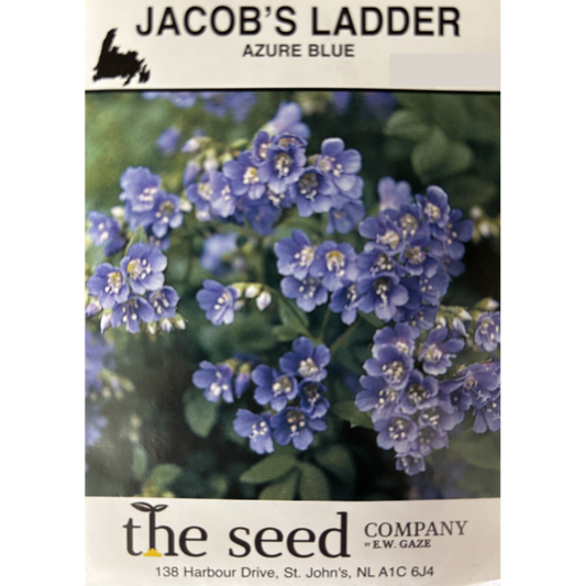 The Seed Company Jacob's Ladder Azure Blue Pkg.