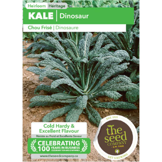 The Seed Company Kale Dinosaur Pkg.
