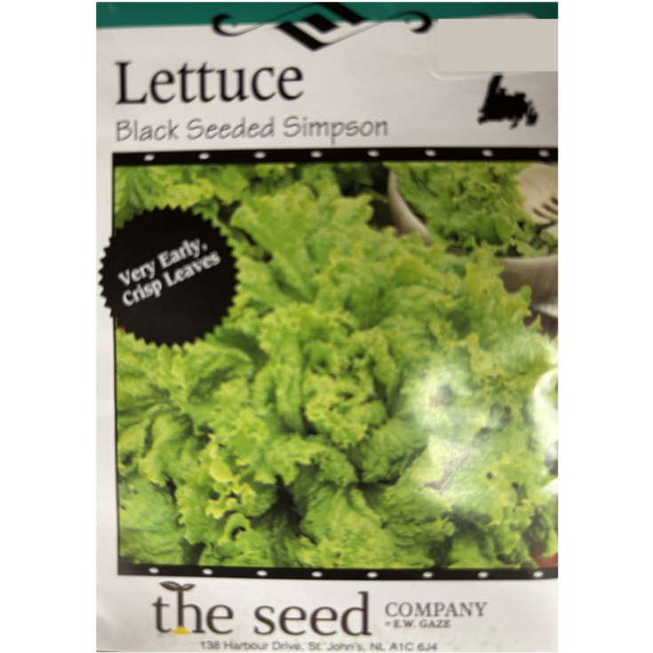 The Seed Company Lettuce Black Seeded Simpson Pkg.