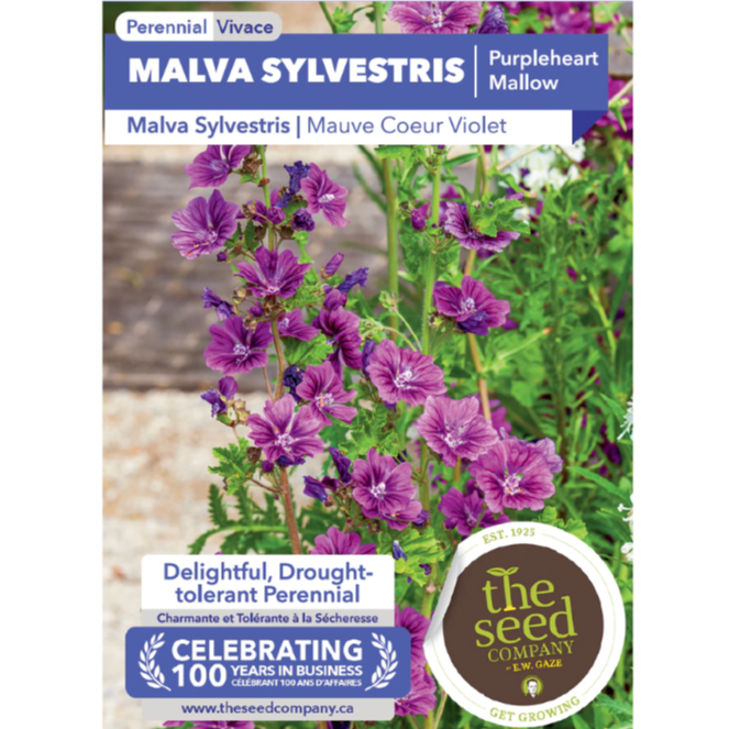 The Seed Company Malva Sylvestris Purpleheart Mallow Pkg.