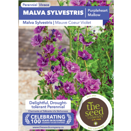 The Seed Company Malva Sylvestris Purpleheart Mallow Pkg.