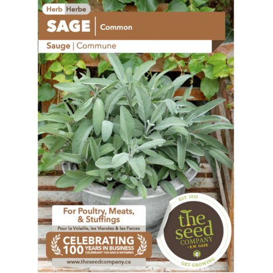 The Seed Company Herb Sage Common Pkg.