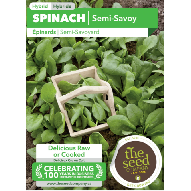 The Seed Company Spinach Semi Savoy Pkg.