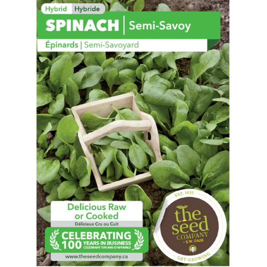 The Seed Company Spinach Semi Savoy Pkg.
