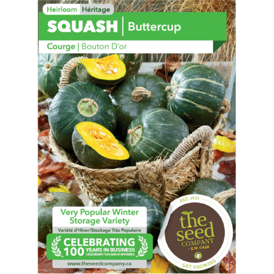The Seed Company Squash Buttercup Pkg.