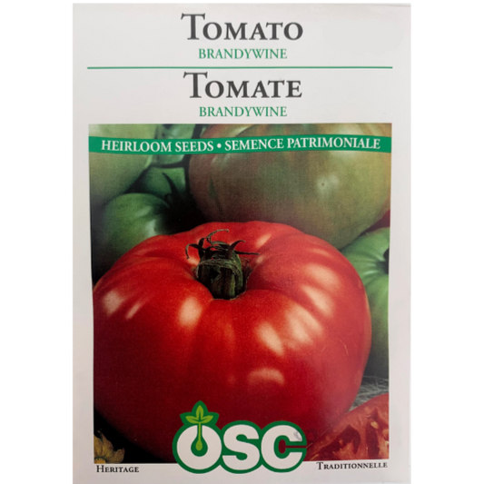 OSC Seeds Tomato Brandywine Pkg