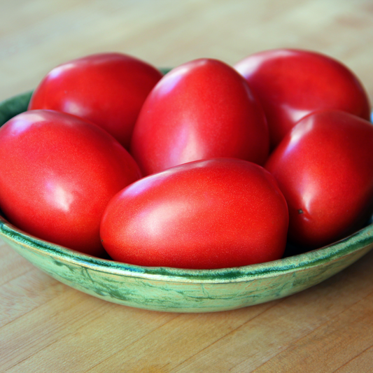 Tomato 'Amish Paste'