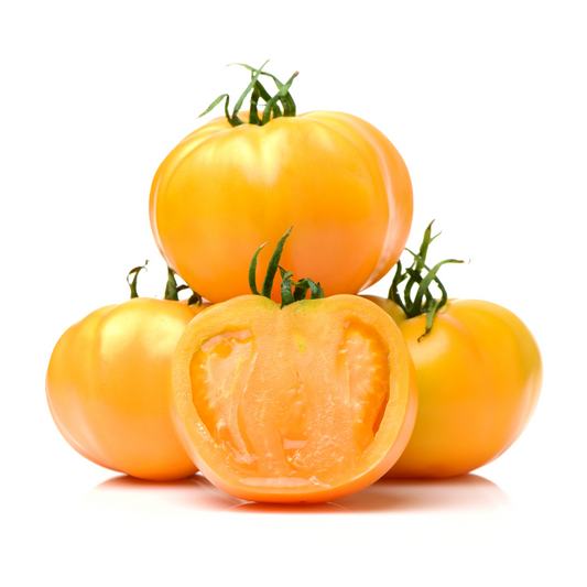Tomato 'Carolina Gold'