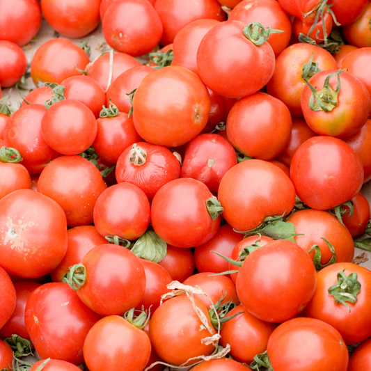 Tomato 'Early Girl'