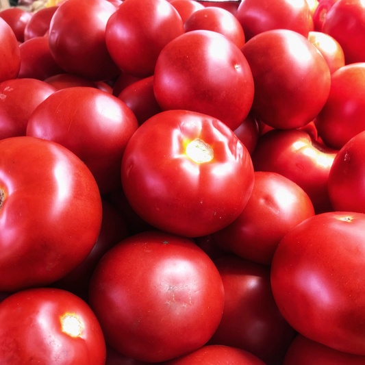Tomato 'Early Girl Plus'