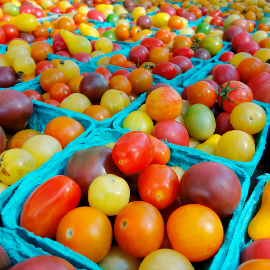 Tomato 'Mosaic Mix'