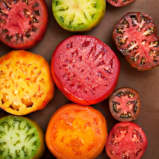 Tomato 'Rainbow Blend Mix'