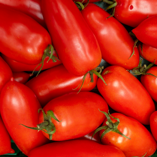 Tomato 'San Marzano'