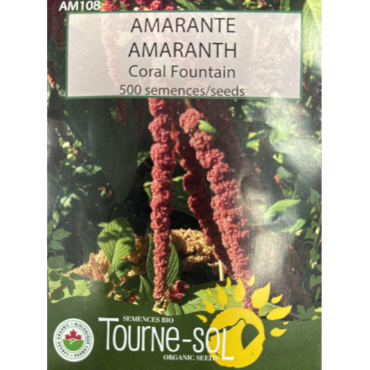 Tourne-Sol Amaranth Coral Fountain Pkg.