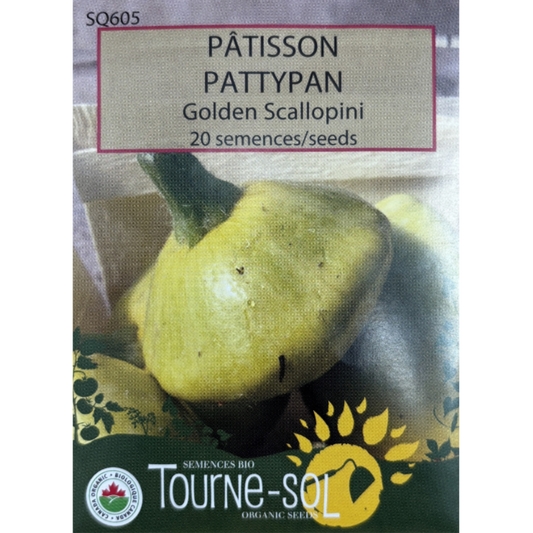 Tourne-Sol Pattypan Golden Scallopini
