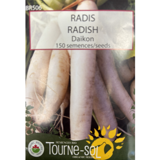 Tourne-Sol Radish Daikon Pkg.