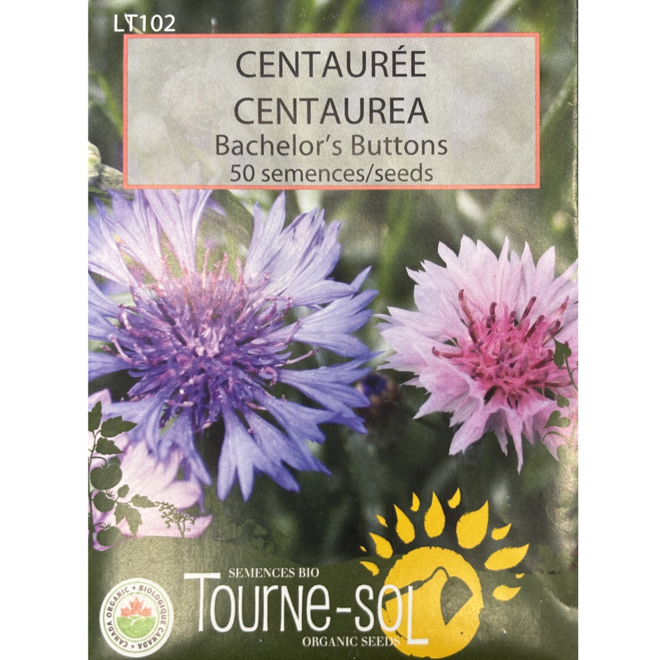 Tourne-Sol Bachelor's Buttons Pkg.