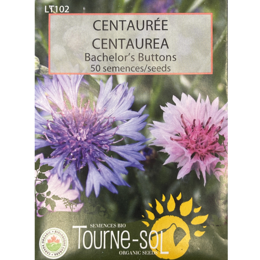 Tourne-Sol Bachelor's Buttons Pkg.