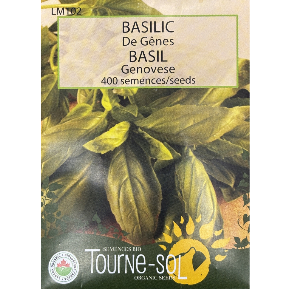 Tourne-Sol Basil Genovese Pkg.