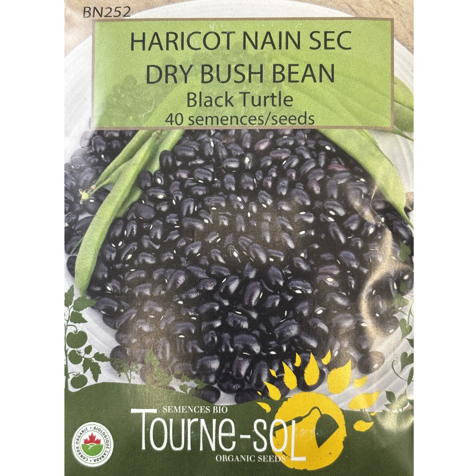 Tourne-Sol Bean Dry Black Turtle Bush Pkg.