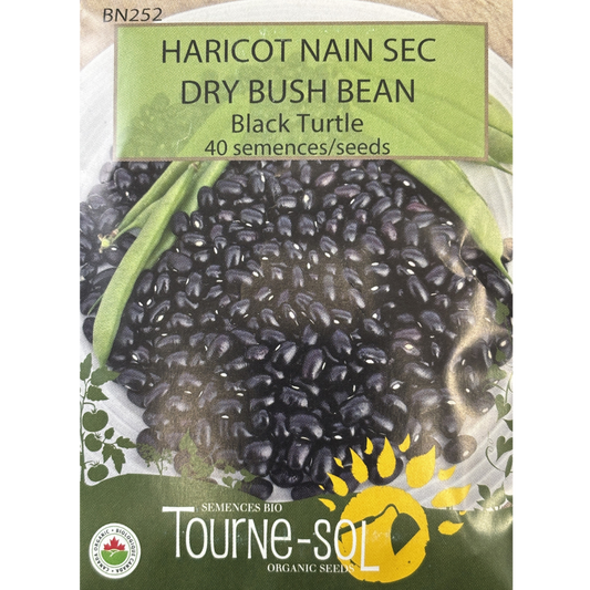 Tourne-Sol Bean Dry Black Turtle Bush Pkg.