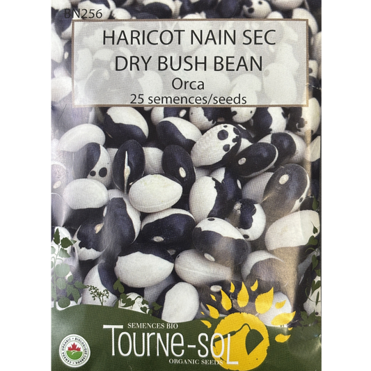 Tourne-Sol Bean Dry Orca Bush Pkg.