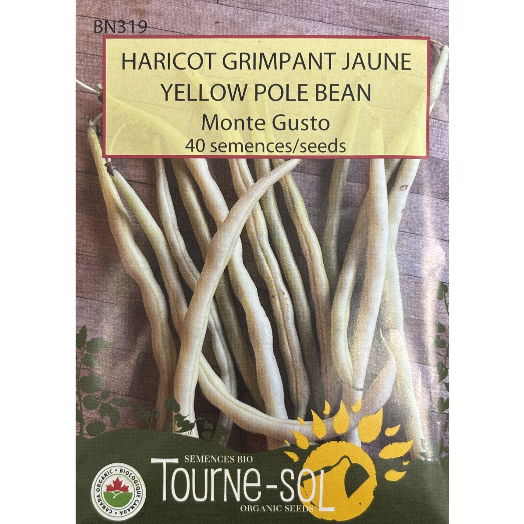 Tourne-Sol Bean Monte Gusto Pole Pkg.