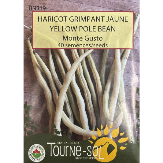Tourne-Sol Bean Monte Gusto Pole Pkg.