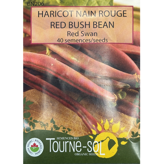 Tourne-Sol Bean Red Swan Bush Pkg.