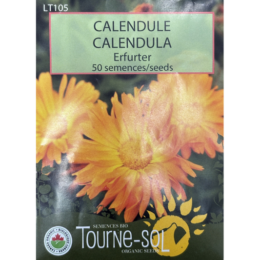 Tourne-Sol Calendula Erfurter Pkg.
