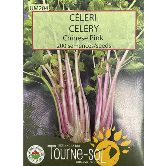 Tourne-Sol Celery Chinese Pink Pkg.