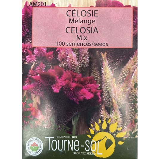 Tourne-Sol Celosia Mix Pkg.