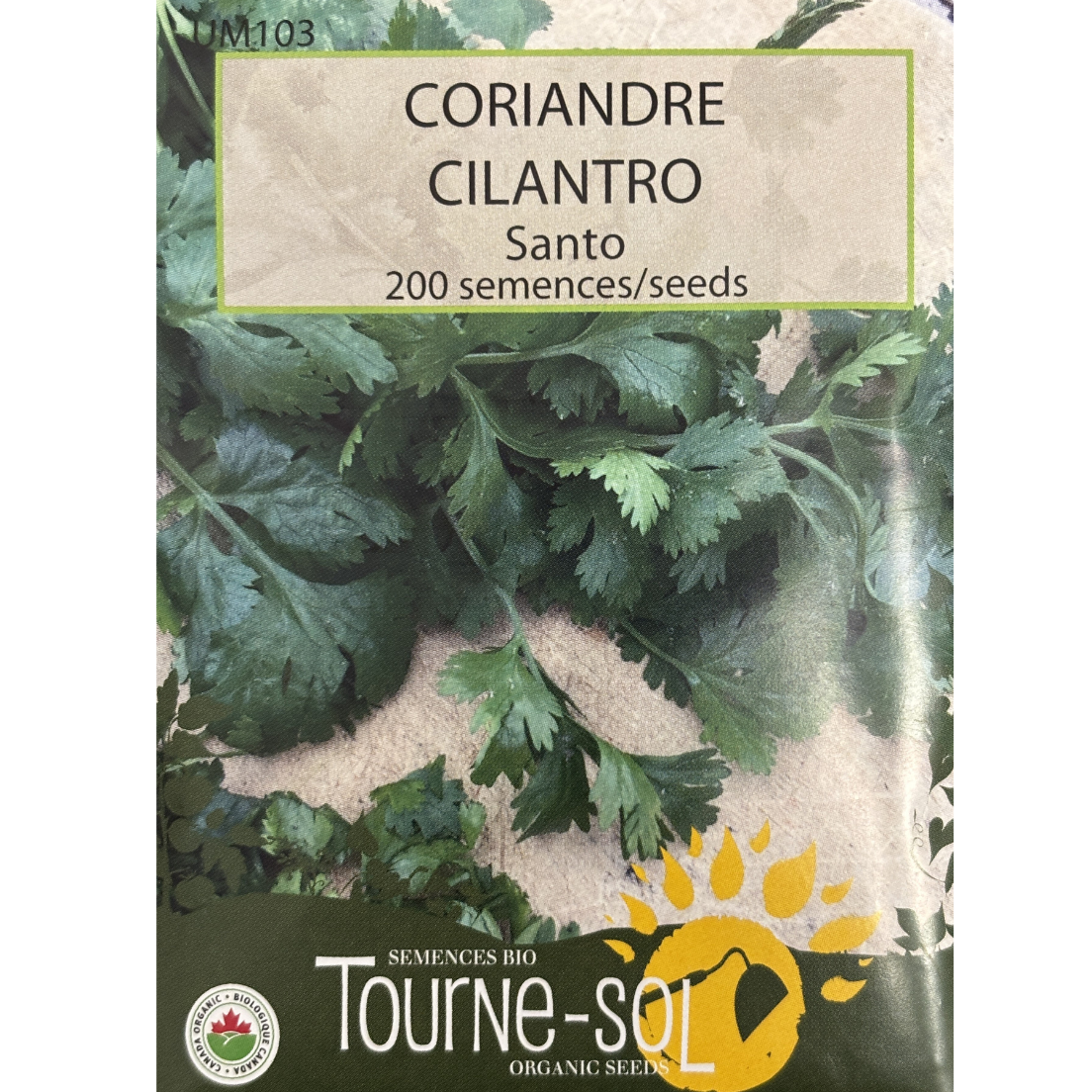 Tourne-Sol Cilantro Santo Pkg.