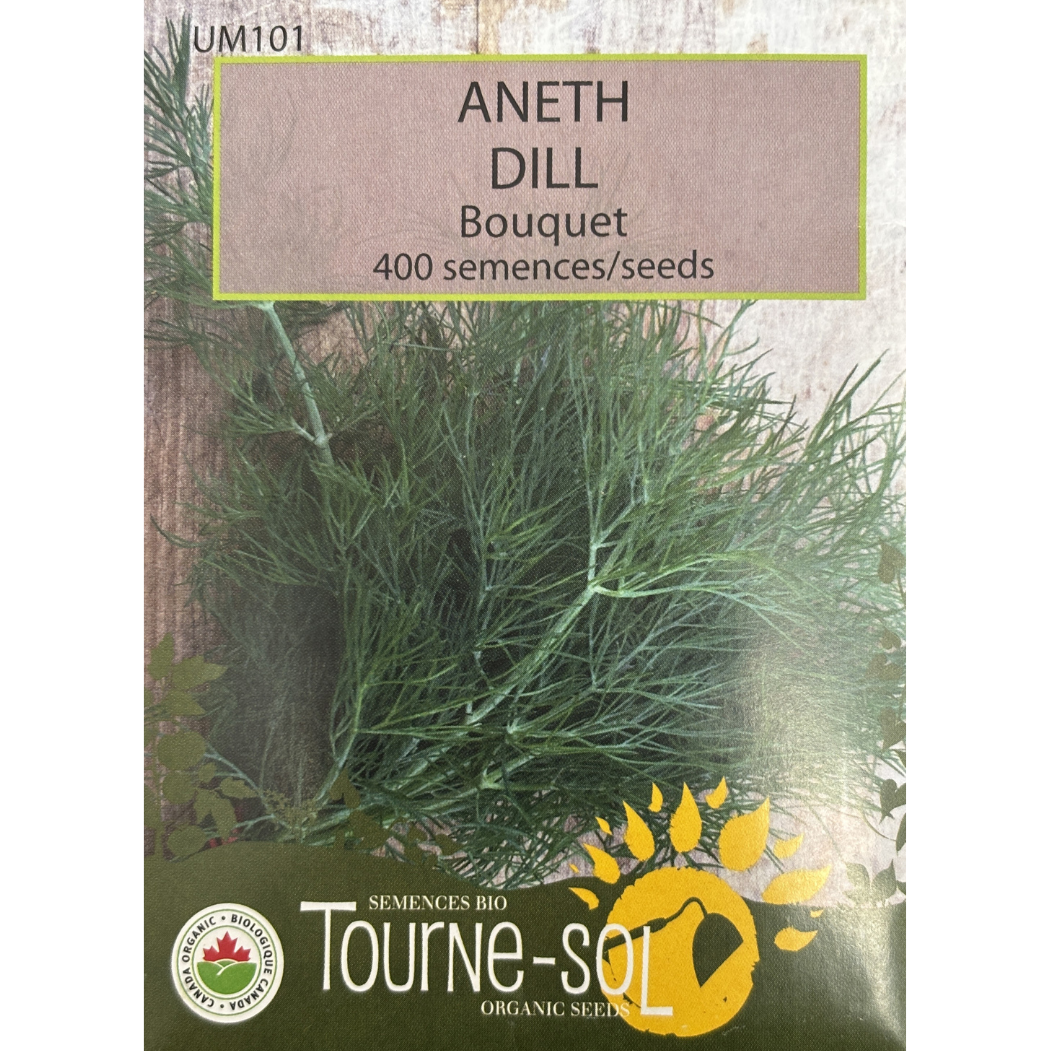 Tourne-Sol Dill Bouquet Pkg.